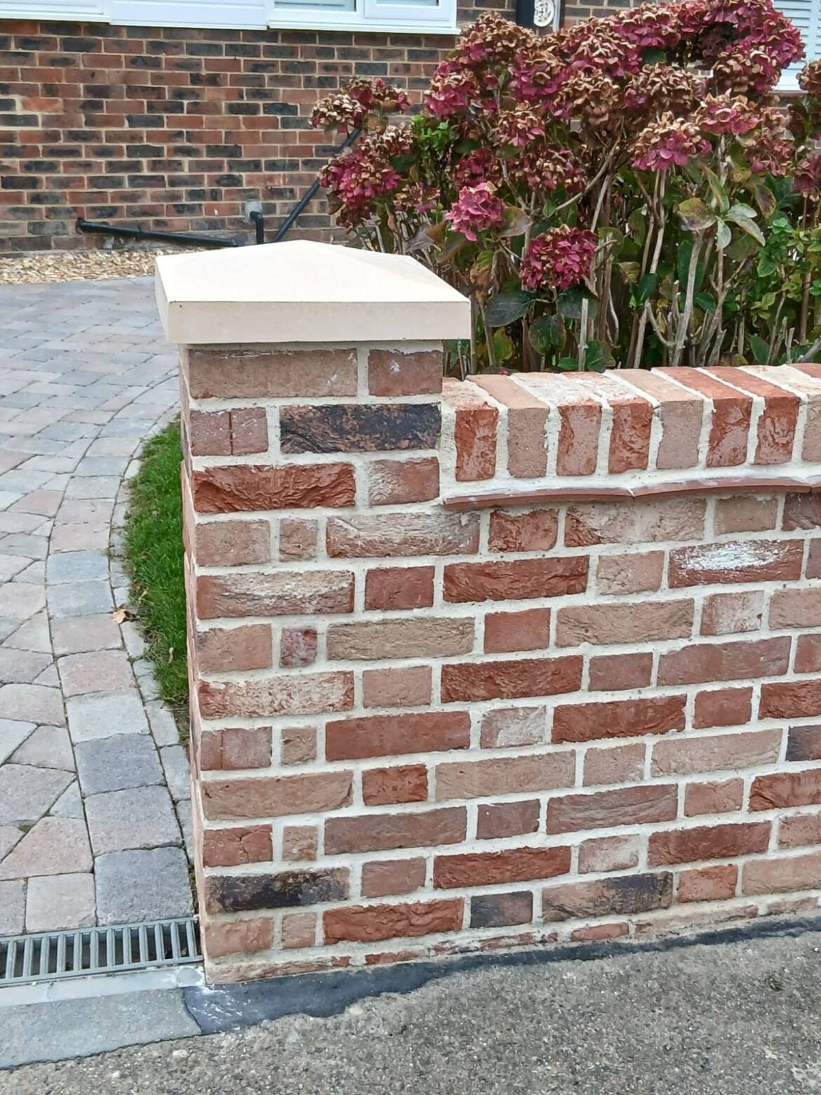 cs4.jpg