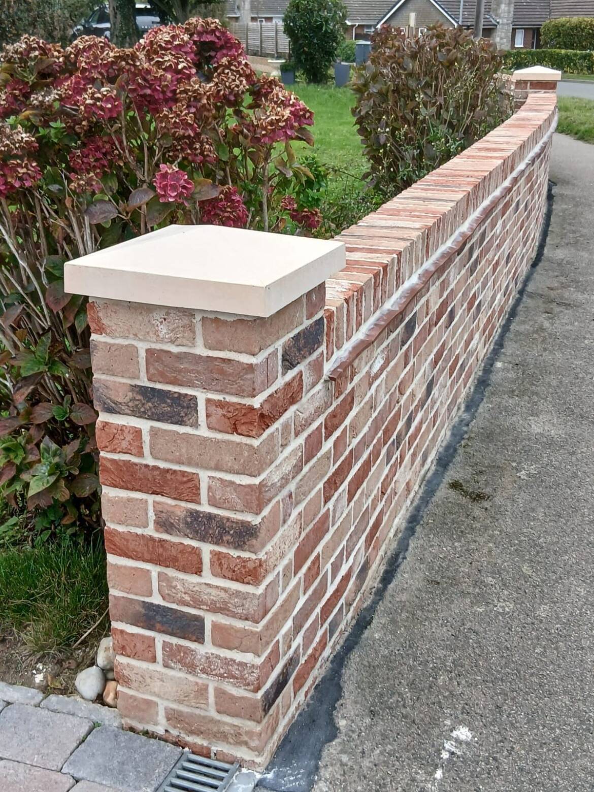 cs9.jpg